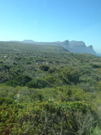 south africa 8
